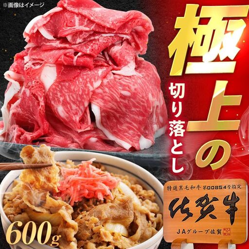 佐賀牛 切り落とし 600g 牛切落し [UEM030]