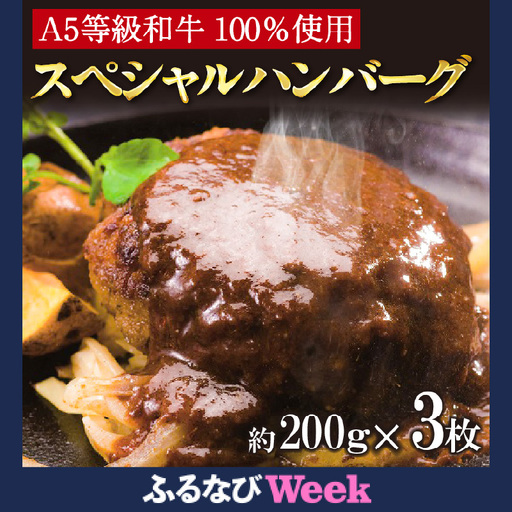 【ふるなびWEEK対象】A5等級和牛100％　肉や大善スペシャルハンバーグ FN-Limited-PR（2339）