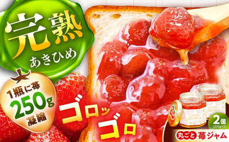丸ごと苺のゴロッとジャム / 恵那市 / 阿部農園 [AUGA006] いちごジャム