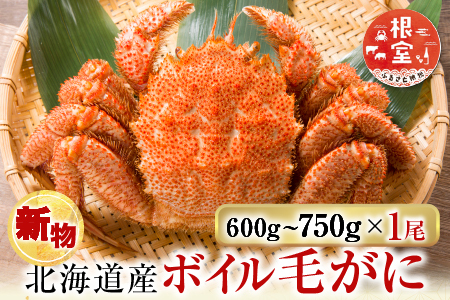 根室海鮮市場＜直送＞ボイル毛がに600～750g×1尾 B-28124