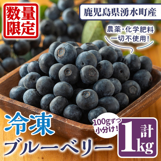 [2026年9月以降順次発送][数量限定]冷凍ブルーベリー(計1kg・100g×10パック) 冷凍 無農薬 国産 九州産 鹿児島県産 くだもの 果物 フルーツ シャーベット ジャム フローズン ベリー おやつ デザート [体験型観光農園さつまドリームファーム]_y527