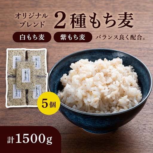 二種もち麦 5個(計1,500g)もち麦