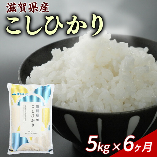 【6ヶ月定期便】 こしひかり 5kg×6回 白米 精米 JA東びわこ 滋賀 彦根