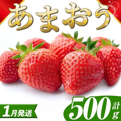いちご あまおう【27年1月中旬以降順次発送予定】計500g 250g×2P |イチゴ エフビーネット as47-003