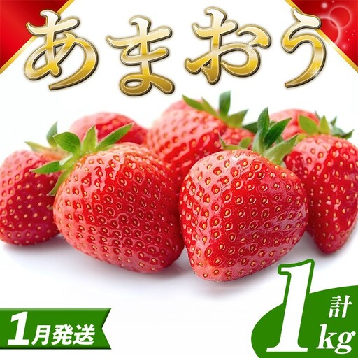 いちご あまおう【27年1月中旬以降順次発送予定】計1kg 250g×4P |イチゴ エフビーネット as47-004