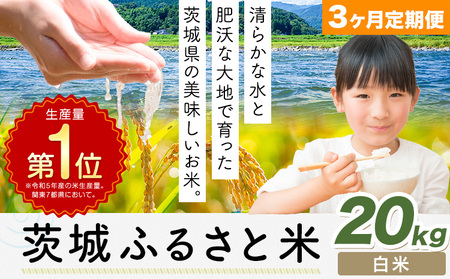 【3か月定期便】米 茨城 ふるさと米 白米 20kg《申込月の翌月より出荷開始》米 お米 白米