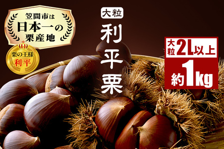 生栗 1kg 利平 栗 くり 国産 2L サイズ 以上 大きい 大粒 取り寄せ 笠間 茨城 和栗 甘栗 低温熟成 ギフト プレゼント 秋 旬 おやつ スイーツ 果物 フルーツ 焼き栗 栗ご飯 栗きんとん 栗おこわ 冷蔵 生産量 日本一 いばらき AH-012
