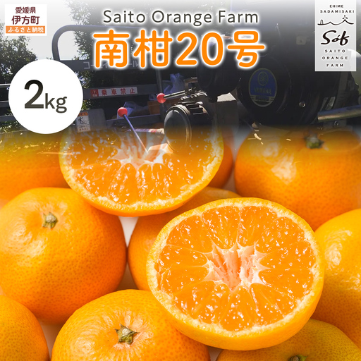 【先行予約】Saito Orange Farmの南柑20号2kg（2026年12月下旬頃より順次発送予定）IKTAQ033