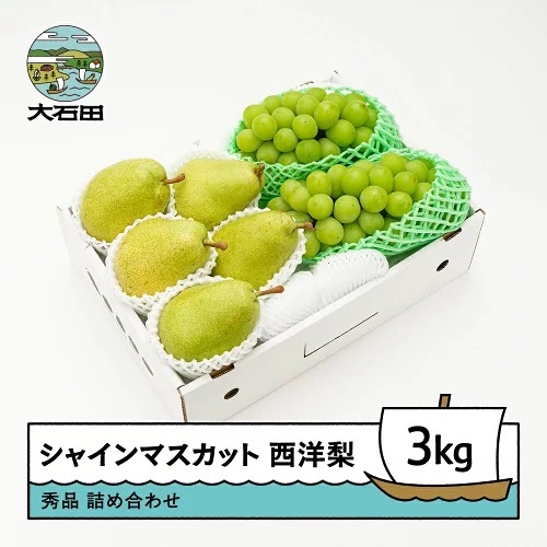 令和8年産 シャインマスカット 西洋梨 秀品 詰め合わせ 3kg