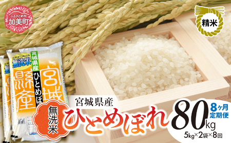 令和8年産 ひとめぼれ無洗米 10kg×8回定期便 ひとめぼれ