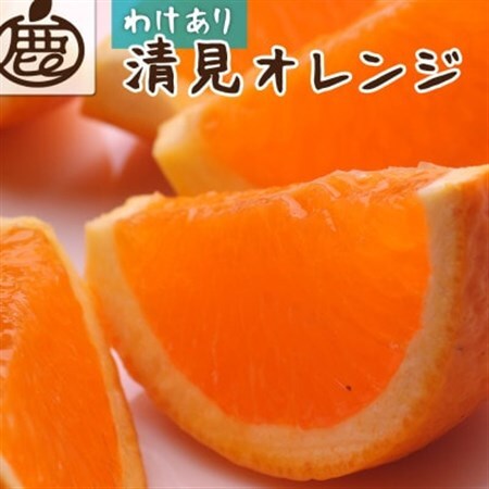 家庭用 清見1kg+250g(傷み補償分)[光センサー選果][訳あり][樹上完熟きよみオレンジ][配送不可地域:離島・北海道・沖縄県]