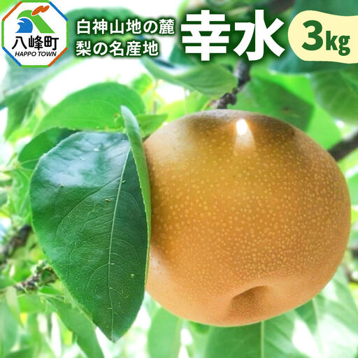 【9月発送 先行受付】梨 幸水 3kg 白神山地の麓 峰浜の梨 笠原果樹園