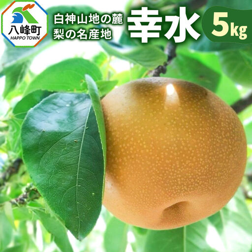 【9月発送 先行受付】梨 幸水 5kg 白神山地の麓 峰浜の梨 笠原果樹園