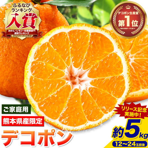 デコポン 先行予約 訳あり 5kg デコポン