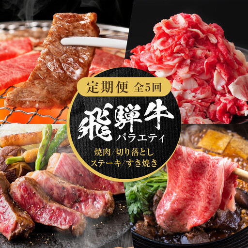 【定期便】全5回 飛騨牛 バラエティ（ステーキ /焼肉 / すき焼き/切り落とし） | 定期便 MZ104
