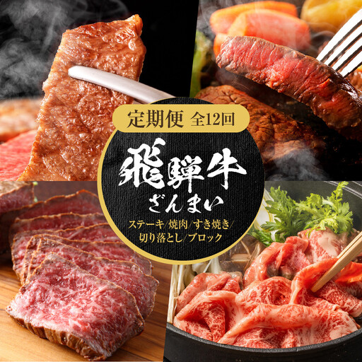 【定期便】全12回 飛騨牛 ざんまい(ステーキ/焼肉/すき焼き/切り落とし/ブロック) | 定期便 MZ106