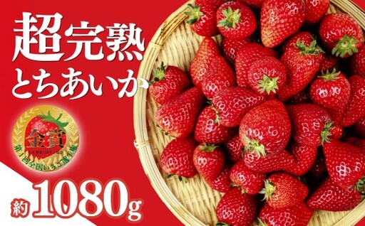 いちご＜先行受付＞【1月以降発送】朝採れとちあいか レギュラーサイズ 約270g × 4パック 合計 約1080g |イチゴ いちご