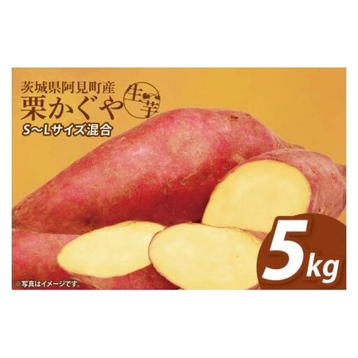 さつまいも くりかぐや 5kg 甘藷 先行予約 甘い さつま芋 サツマイモ 薩摩芋 栗かぐや 生芋 ほくほく 茨城県産 茨城県 阿見町【2026年12月上旬より順次発送予定】(90-01)