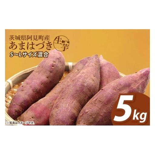さつまいも あまはづき 5kg 甘藷 先行予約 甘い さつま芋 サツマイモ 薩摩芋 生芋 ねっとり 茨城県産 茨城県 阿見町【2026年12月上旬より順次発送予定】(90-02)