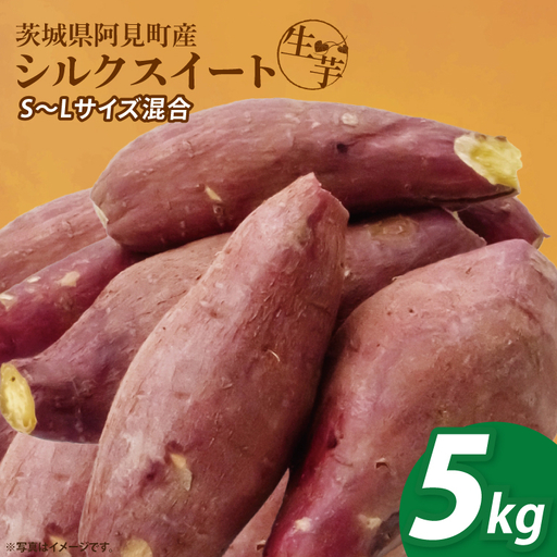 さつまいも シルクスイート 5kg 甘藷 先行予約 甘い さつま芋 サツマイモ 薩摩芋 生芋 しっとり 茨城県産 茨城県 阿見町【2026年12月上旬より順次発送予定】(90-03)