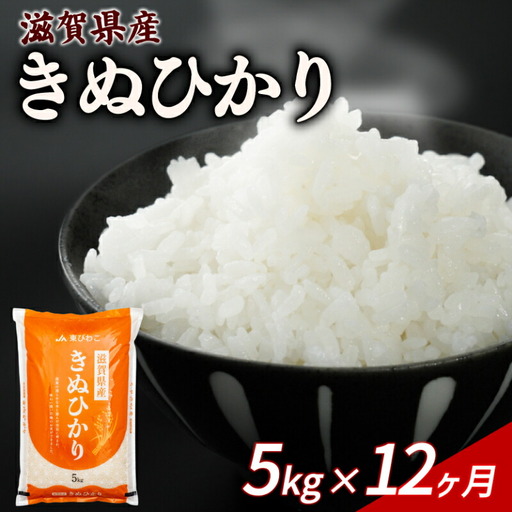 【12ヶ月定期便】 きぬひかり 5kg 令和7年産 キヌヒカリ 定期便 お米 米