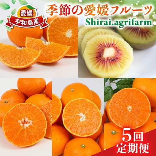 フルーツ 【5回コース】 Shirai.agrifarm 定期便 B105-115011