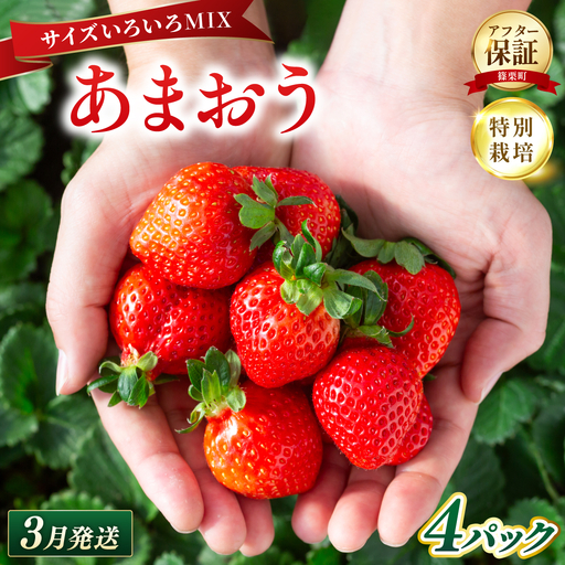 いちご 福岡県産 特別栽培 あまおう サイズいろいろMIX 約1140g（約285g×4パック）【3月発送】| 農園直送 アフター保証 先行予約 福岡産 送料無料 ケーキ ギフト お祝い 限定 季節限定 UN002