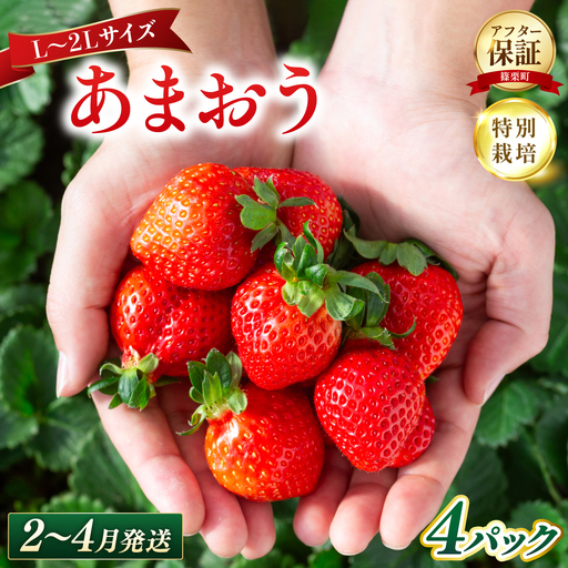 いちご 福岡県産 特別栽培 あまおう L~2Lサイズ（少し小ぶりサイズ）約1140g（約285g×4パック）【2～4月発送】| 農園直送 アフター保証 先行予約 福岡産 送料無料 ケーキ ギフト お祝い 限定 季節限定 UN004