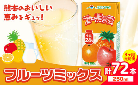 常温保存可能 [1ヶ月毎3回定期便]フルーツミックス 250ml×24本 計72本 合同会社たべたせいか[お申し込みの翌月から出荷]熊本県 菊池市 ミックスジュース らくのうマザーズ フルーツ牛乳 フルーツ ジュース 紙パック ジュース ドリンク