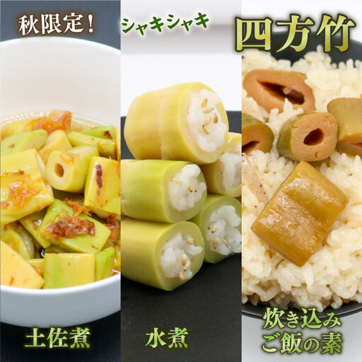 四方竹 食べ比べセット 土佐煮 水煮 炊き込みご飯の素 各3 合計9パック シャキシャキ 食感 珍味 季節 特産 珍しい 柔らか 筍 タケノコ 竹の子 煮物 おでん サラダ 和え物 天ぷら キンピラ お寿司 高知県 南国市