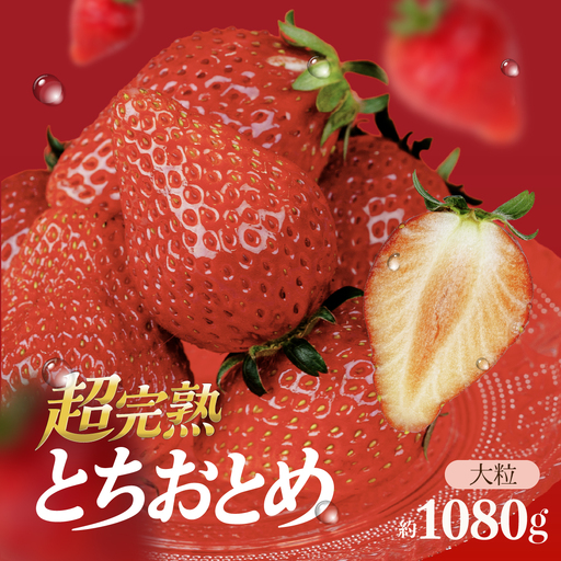 いちご【1月以降発送】朝採れとちおとめ 大粒 約270g × 4パック 合計 約1080g |イチゴ いちご