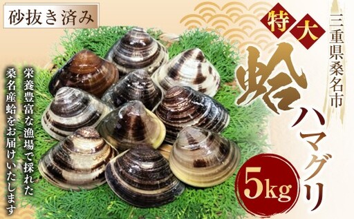 [指定日必須][7月・8月発送不可][特大] 丸元水産 桑名産蛤(ハマグリ) 5.0kg はまぐり ハマグリ 蛤 天然 活 砂抜き済 特大 大粒 肉厚 BBQ キャンプ 網焼き 魚介 貝 魚貝 活はまぐり 焼きはま 海鮮 網焼き 酒蒸し お吸い物 パエリア パスタ 桑名 日にち指定[2025年9月下旬から2026年6月下旬発送予定]