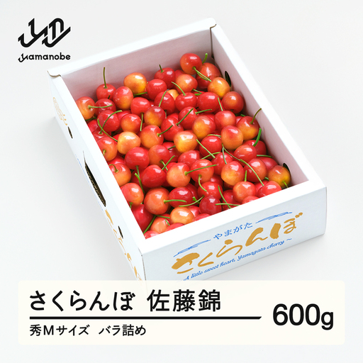 【先行予約】さくらんぼ 佐藤錦 秀Mサイズ バラ詰め 600g (600g×1箱) 2027年産 令和9年産 山形県産 ns-snsmb600