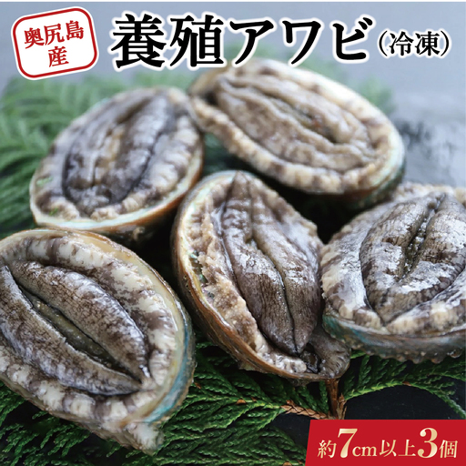 奥尻島産 冷凍 養殖アワビ (3個入り) 1個 約70mm | 新鮮 あわび アワビ 鮑 魚介 酒蒸し バター焼き 刺身 天ぷら グルメ お取り寄せ | 北海道 奥尻町 送料無料
