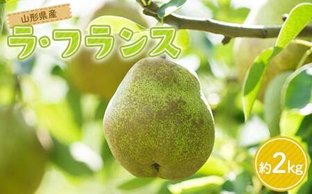 FYN6-163 贈答用 山形県産 洋梨 ラ・フランス 約2kg(5～6玉) 2026年11月上旬から順次発送 洋梨 洋なし ラフランス 秋果実 果物 くだもの フルーツ 贈答 贈り物 ギフト プレゼント 産地直送 山形県 西川町 月山
