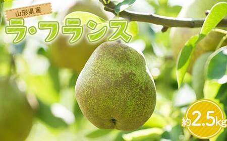 FYN6-164 贈答用 山形県産 洋梨 ラ・フランス 約2.5kg(6～8玉) 2026年11月上旬から順次発送 洋梨 洋なし ラフランス 秋果実 果物 くだもの フルーツ 贈答 贈り物 ギフト プレゼント 産地直送 山形県 西川町 月山