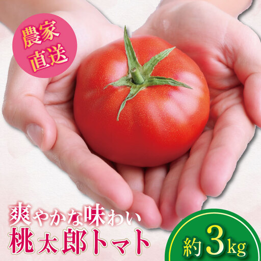【2026年12月発送】 桃太郎トマト 約3kg 先行予約 トマト