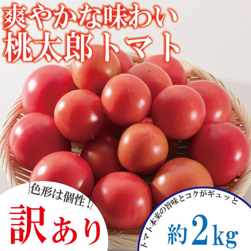 【訳あり】 【2026年12月発送】 桃太郎トマト 約2kg 先行予約 トマト