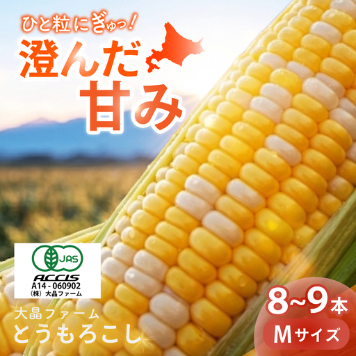 有機とうもろこし 8本～9本 とうもろこし[BNAP001]
