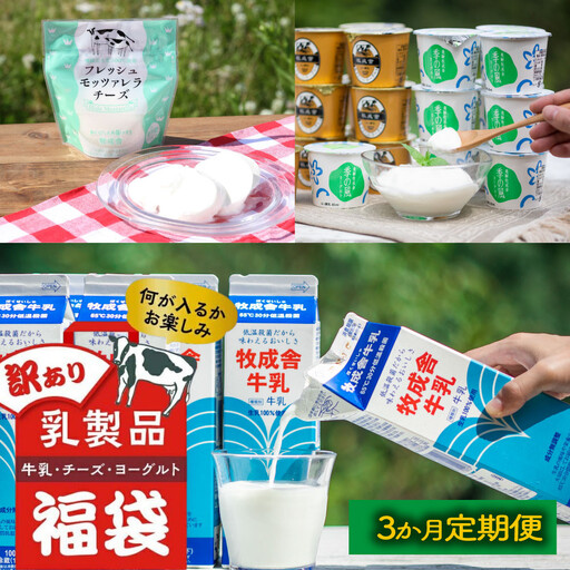 [3か月定期便]牧成舎の訳あり乳製品福袋(牛乳・ヨーグルト・チーズ詰め合わせ)訳あり 福袋