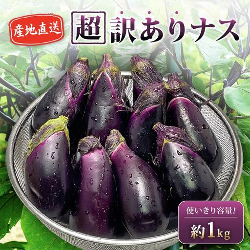 安田町産 「超」 訳あり ナス なす 1kg  新鮮 野菜 茄子 産地直送 季節限定 夏野菜 ナス 訳あり TR-0001