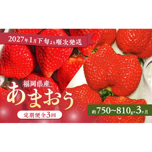 あまおう 定期便 いちご 福岡県産 あまおう[3パック×3回][定期便3回]