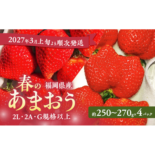 あまおう 春 2L・2A・G規格以上 福岡県産 あまおう[4パック][先行予約]