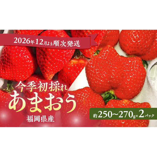 あまおう 今季初採れ いちご 福岡県産 あまおう[2パック][先行予約]