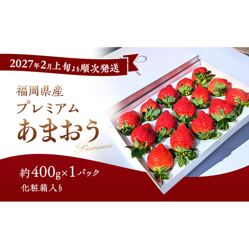 あまおう 化粧箱入り プレミアム 贈答用 福岡県産 あまおう[約400g×1パック][先行予約]