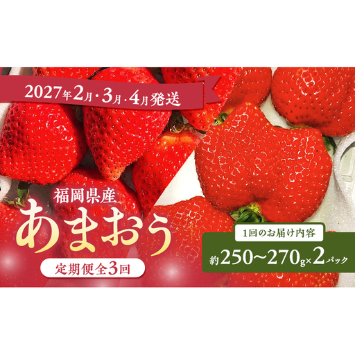 あまおう 定期便 いちご 福岡県産 あまおう[2パック×3回][定期便3回]