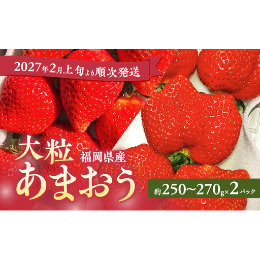あまおう 大粒 いちご 福岡県産 あまおう【2パック】【先行予約】
