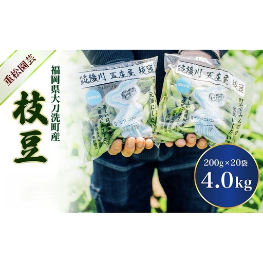 枝豆 焼き枝豆 福岡県産 枝豆【4kg(200g×20袋)】
