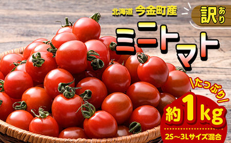 【訳あり】ミニトマト 約1kg (2S～3Lサイズ混合) トマト フルーツトマト 産地直送 甘いトマト 熟成トマト F21X-491