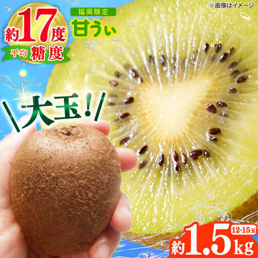 先行予約 キウイフルーツ 約1.5kg 12-15玉[BGAG017] キウイフルーツ